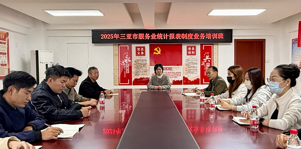 三亚市统计局举办2025年区级服务业统计报表制度培训班