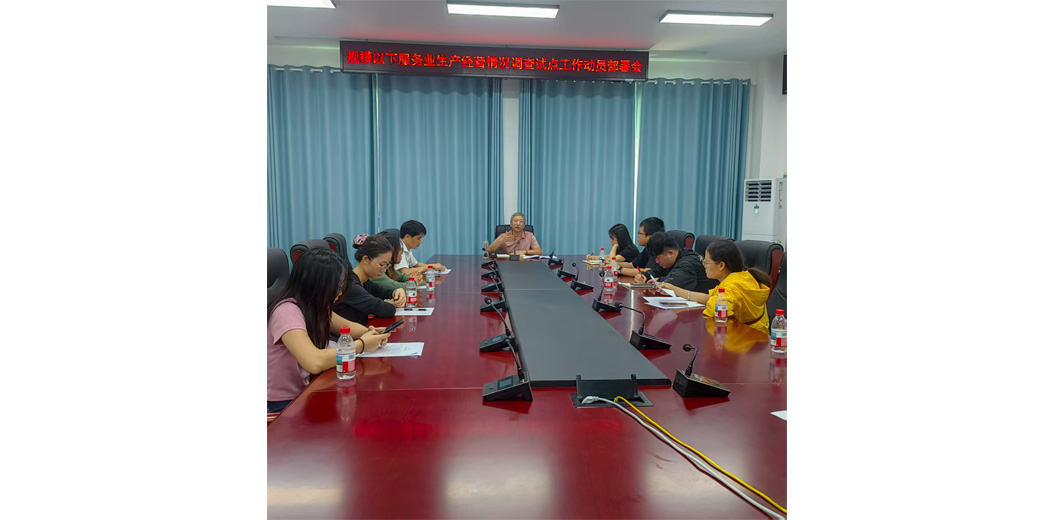 三亚市统计局组织召开规模以下服务业生产经营情况试点调查动员部署会