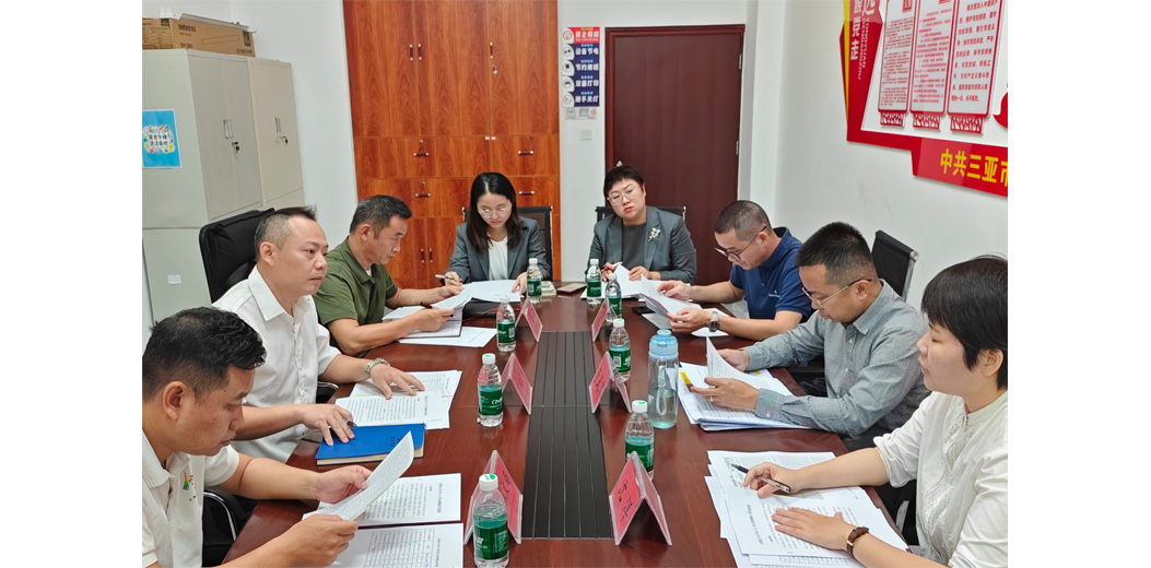 三亚市统计局开展纳统调研指导工作