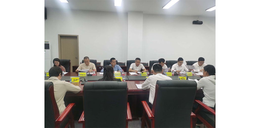 荣延松带队专题调研三亚民宿行业发展及纳统情况