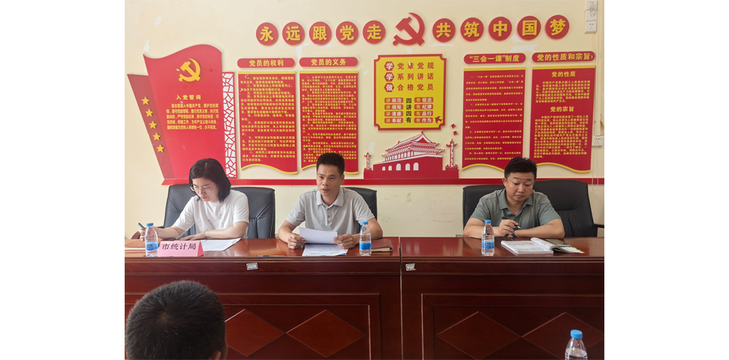 三亚市统计局下沉基层察实情解民忧扎实推进“我为群众办实事”落地见效