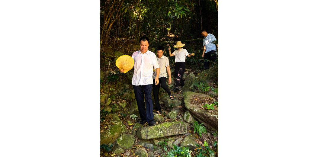三亚市统计局深入立新村督导农田灌溉管网建设