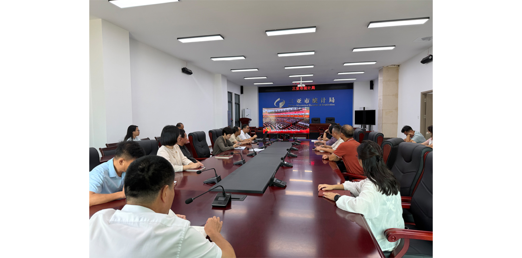 三亚市统计局组织收看中国共产党成立105周年大会盛况